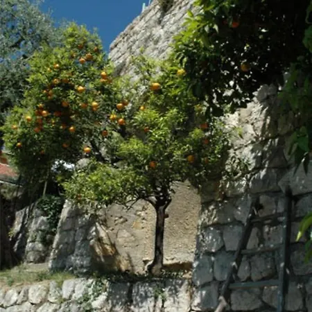 Bed & Breakfast B&B - Villa Coste D'Or 3*